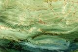 Freestanding Gary Green Jasper (Larsonite) Bog Wood - Oregon #377826-1